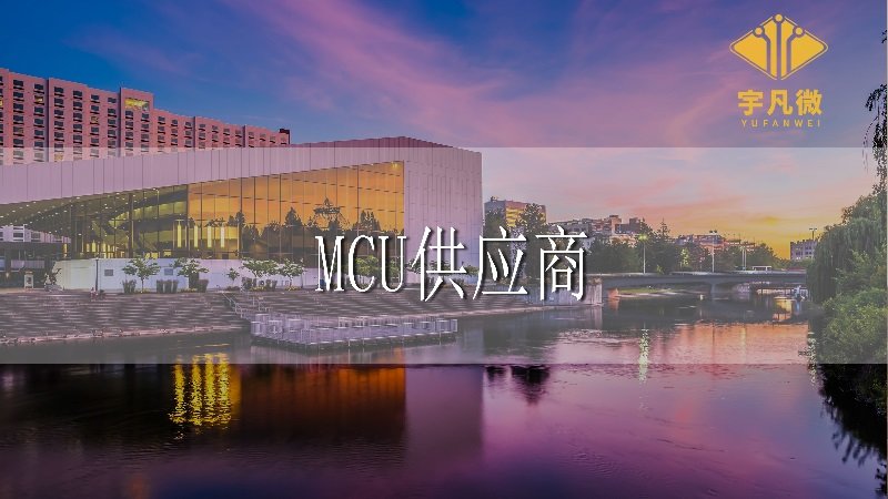 中國(guó)本土MCU供應(yīng)商